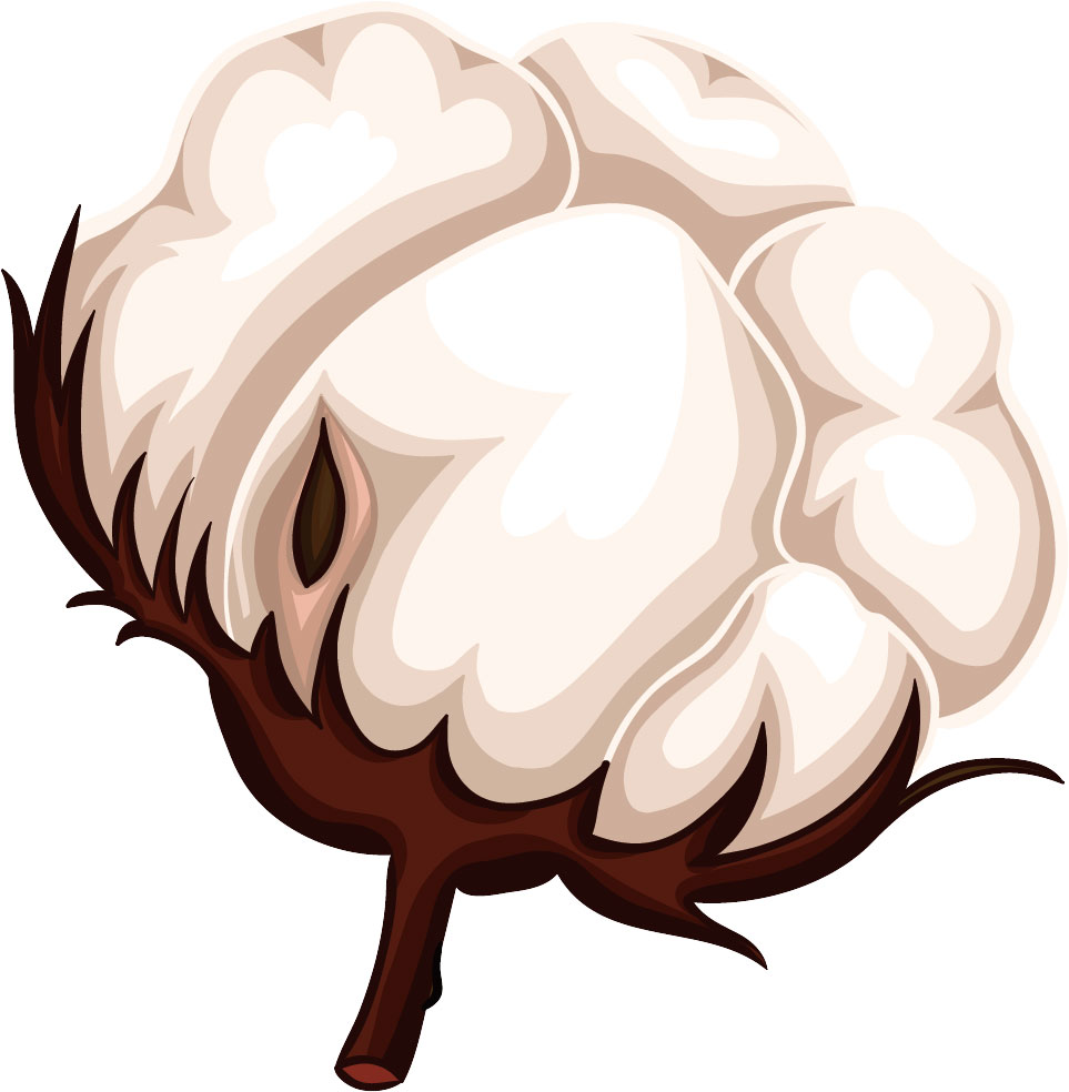 1634954598691379.jpg image.jpg